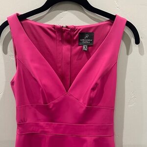 Adrianna Papell Fuchsia Mini Dress